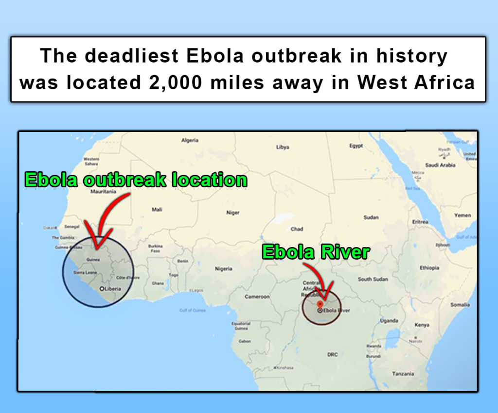 Ebola virus