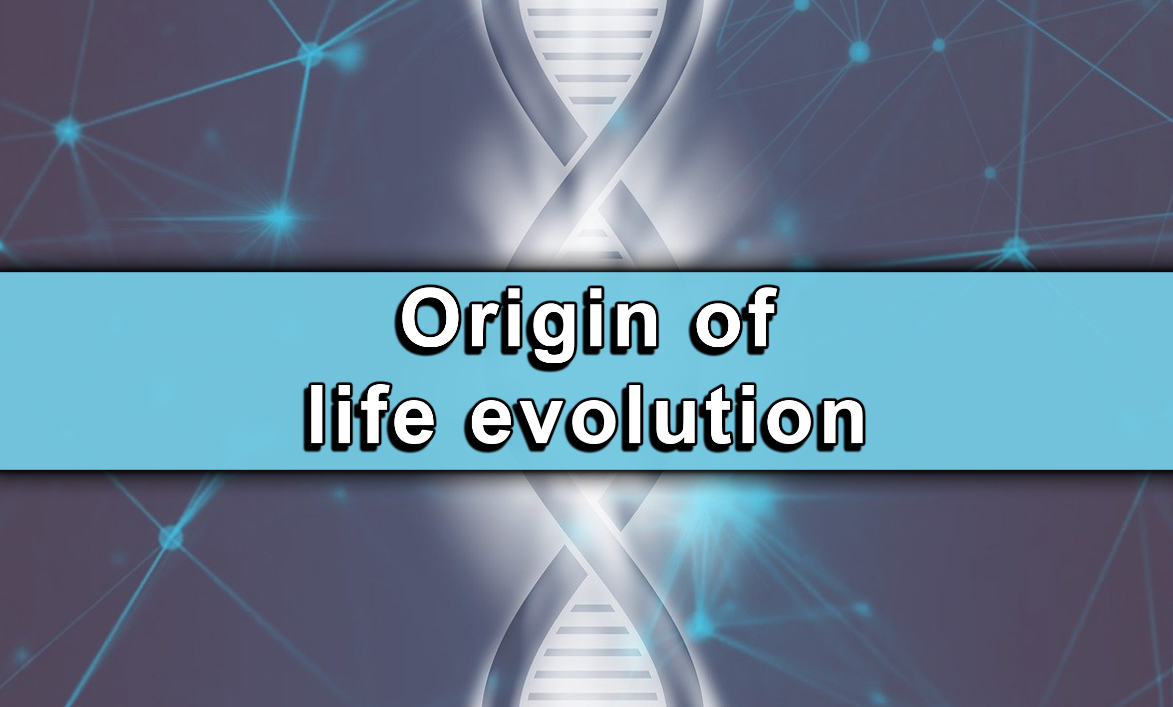 Origin of life evolution