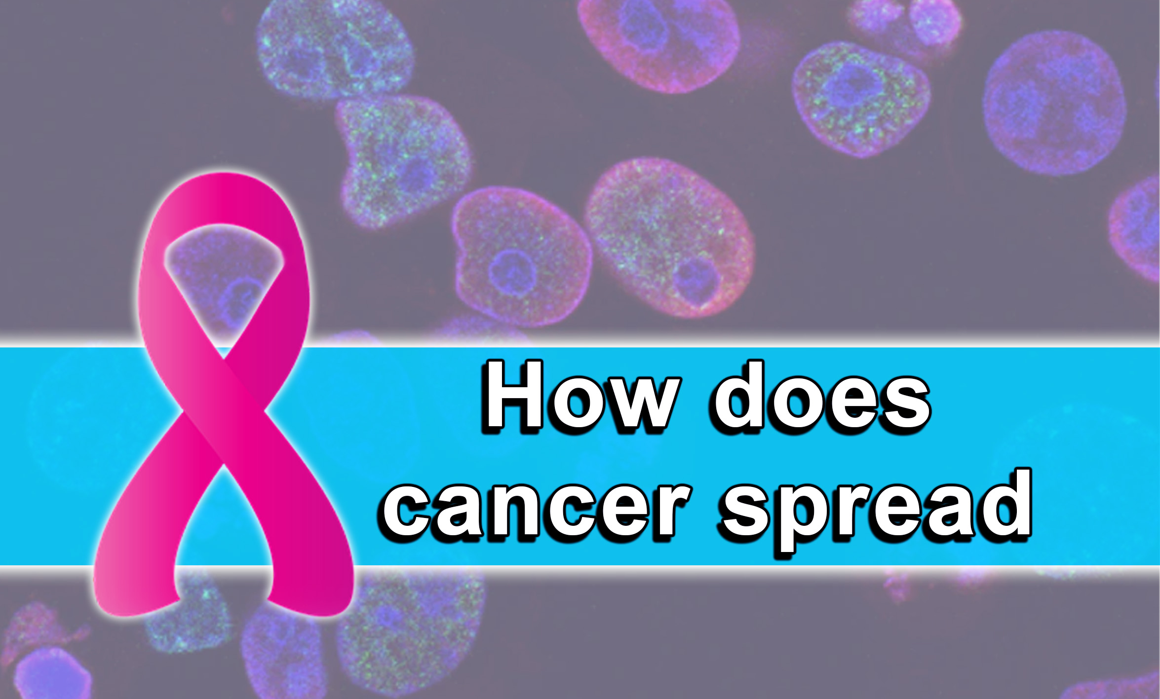 How does cancer spread