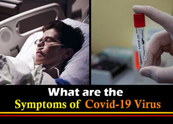 What are the symptoms of covid-19 virus