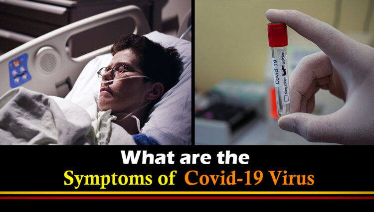 What are the symptoms of covid-19 virus