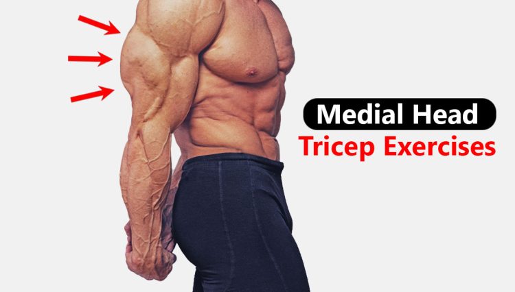 Medial Head Tricep Exercises